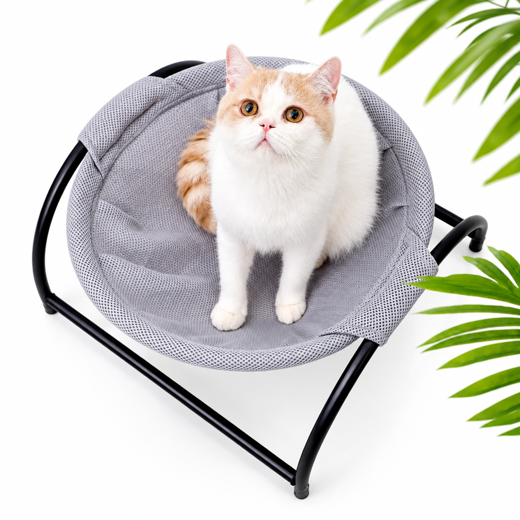 Keep Your Pet Cozy Wherever You Go