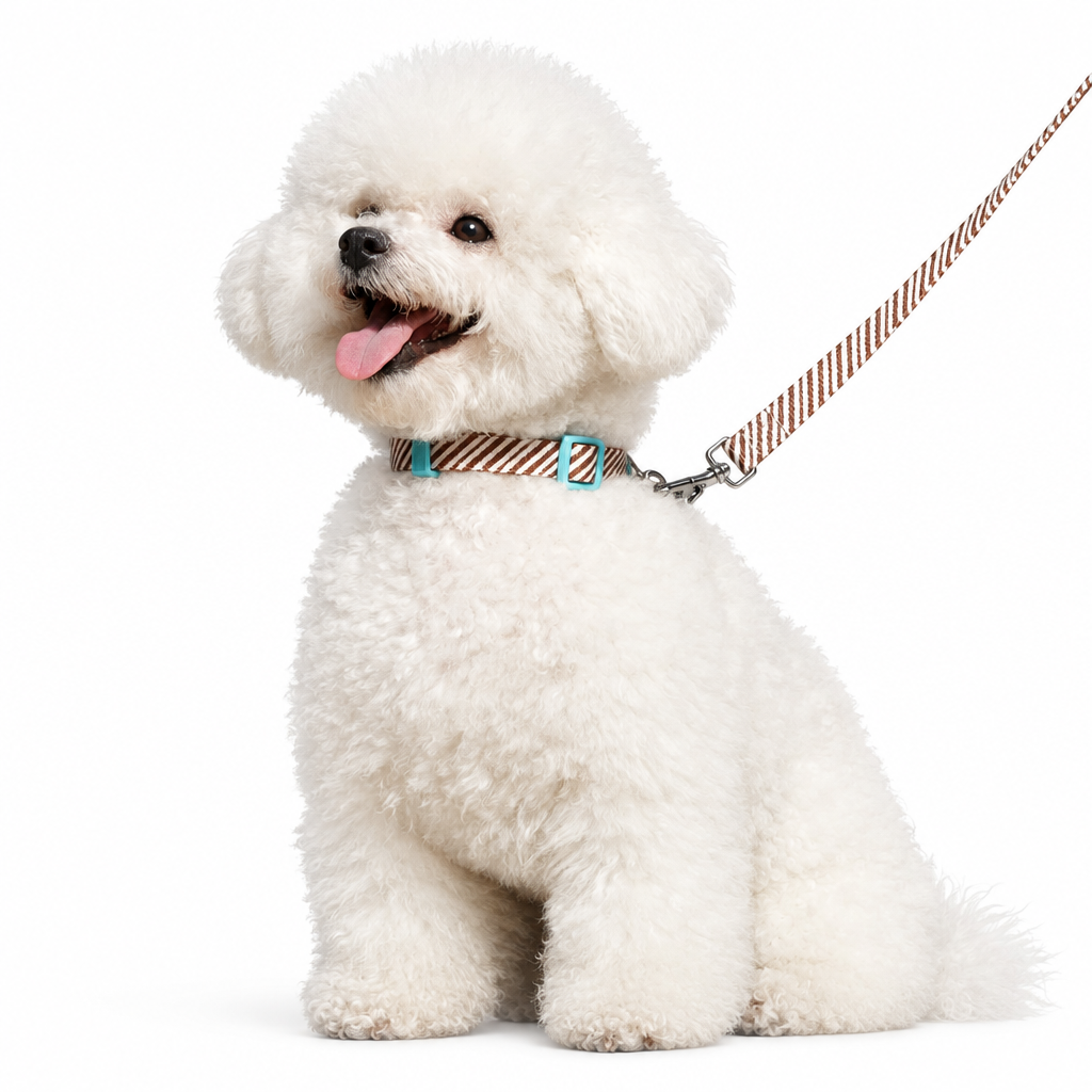 HappyPaws Outdoor Harness for both Cats and Dogs