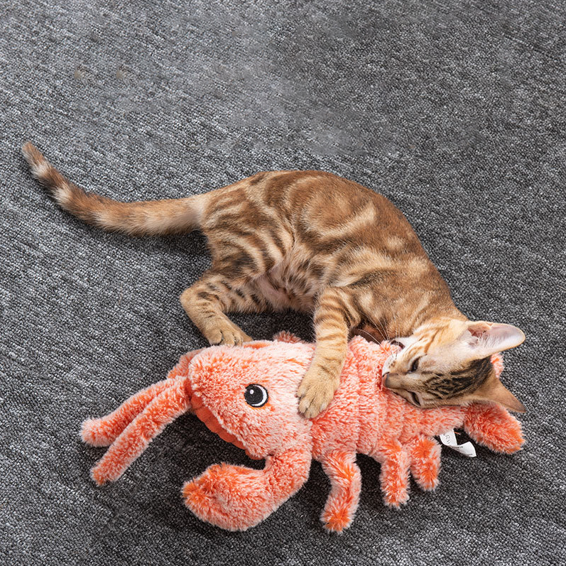Hilarious Jumping Toy for Cats Who Love Chasing